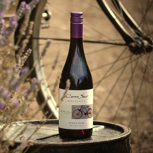 Cono Sur Bicicleta Reserva Pinot Noir